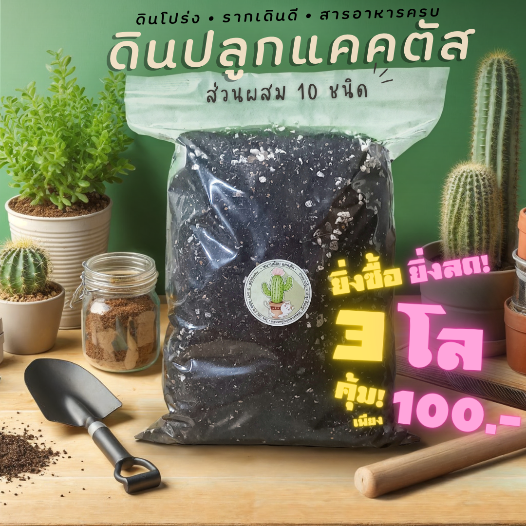 Raised Bed Potting Soil ราคาถูก ซื้อออนไลน์ที่ มิ.ย. 2024 Lazada.co.th