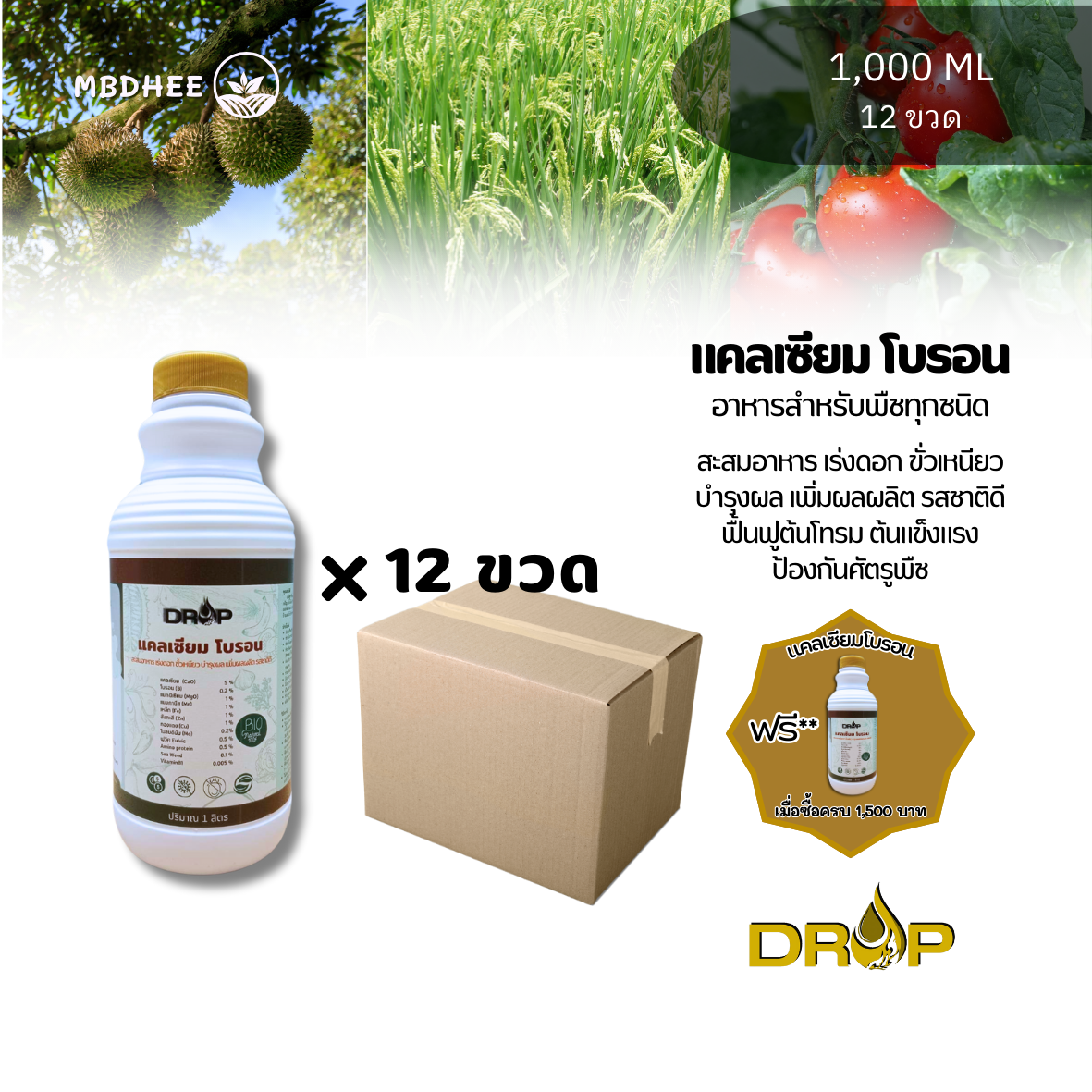 แคลเซียมโบรอน ขนาด 1 ลิตร 12 ขวด อาหารเสริมพืช เปิดตาดอก แตกตาดอก เร่งดอก ดอกดก เกษรสมบูรณ์ เพิ่มการติดผล ขั้วเหนียว ขยายผล ผลดก เพิ่มรสชาติ ราคา 1,320 บาท*ส่งฟรี