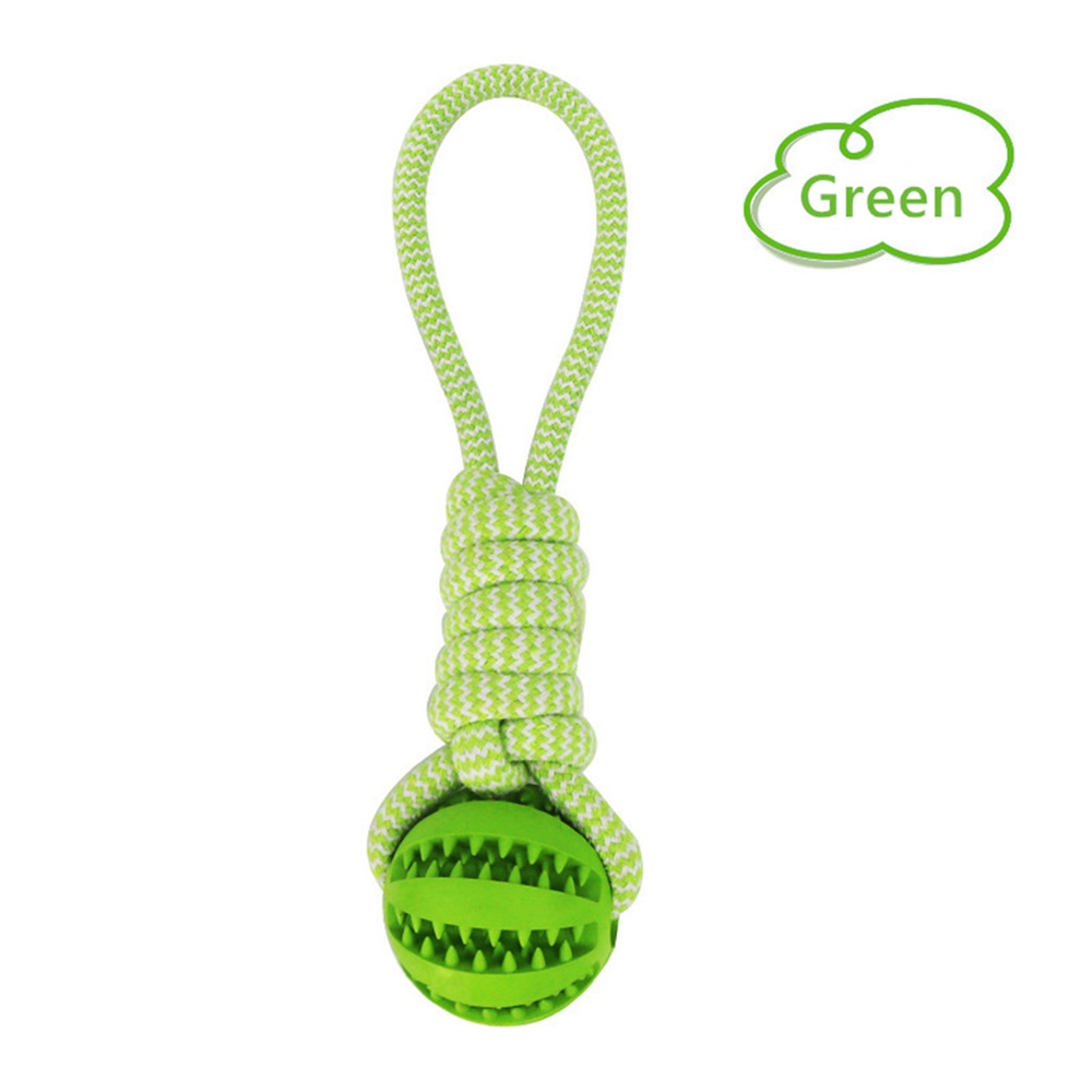 dog toy on rope