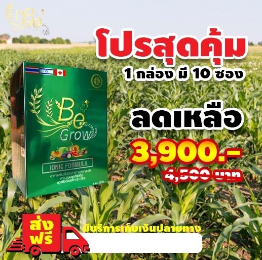 Fertilizers, Be Grow Cam ี nego oleva fertilizer Cam ี nego oleva 700tvl1 box have BC-10 envelope Messenger enhancement plant food supplement plant (you Envelope Mix water 800 l) ราคา 450 บาท*ส่งฟรี