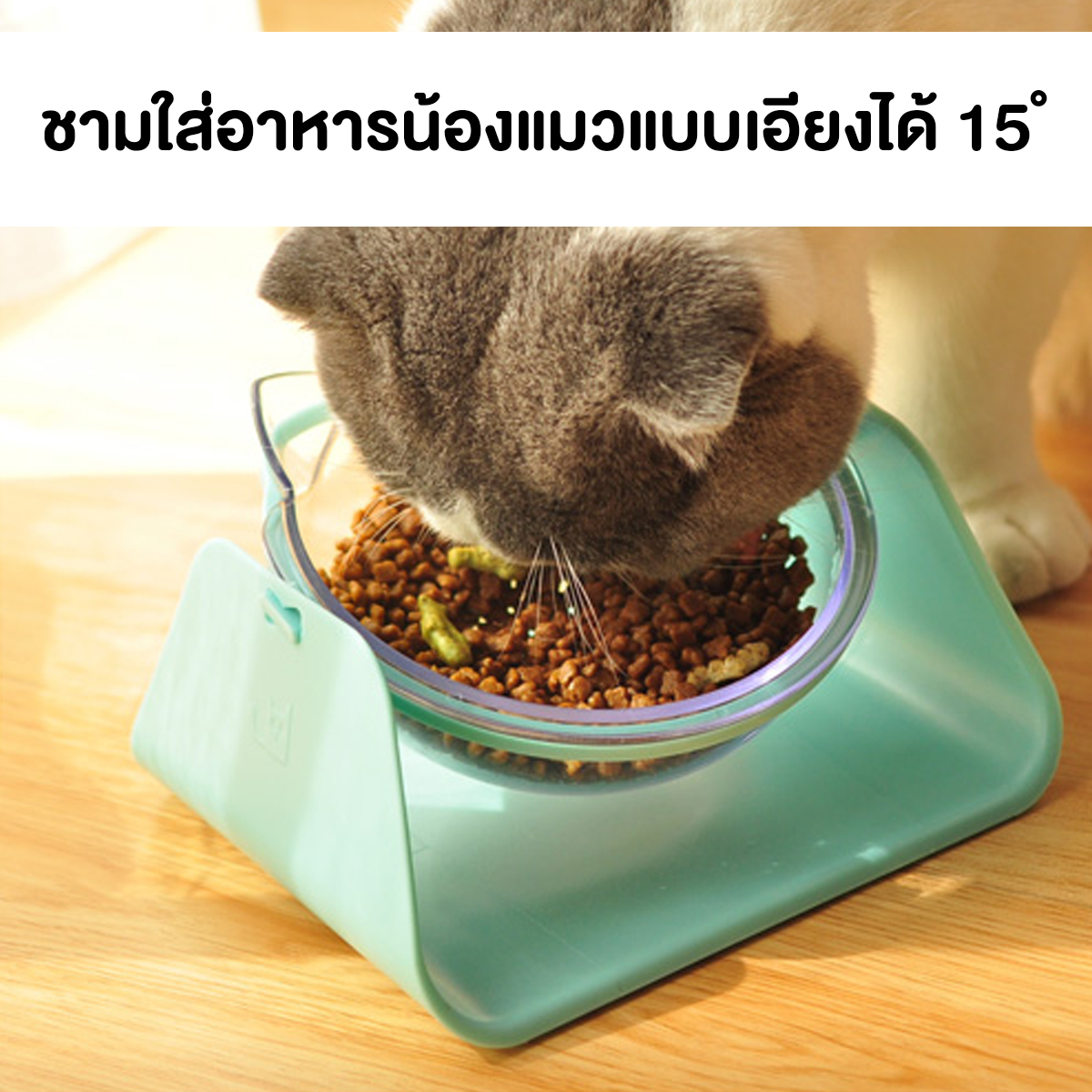 ⚡⚡??  ร้านแนะนำ ⚡⚡?? ชามอาหารแมว ชามอาหารสุนัข ถ้วยอาหารสุนัข ชามอาหารสัตว์เลี้ยง ยกสูง ปรับระดับได้