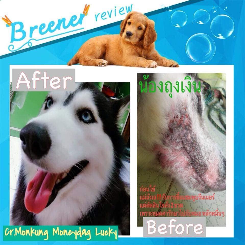มุมมองเพิ่มเติมเกี่ยวกับ Breener บรีนเนอร์ แชมพูสมุนไพร ลดคัน ลดขนร่วง รักษาเรื้อน เชื้อรา โรคผิวหนังอื่นๆ สำหรับสุนัข/แมว