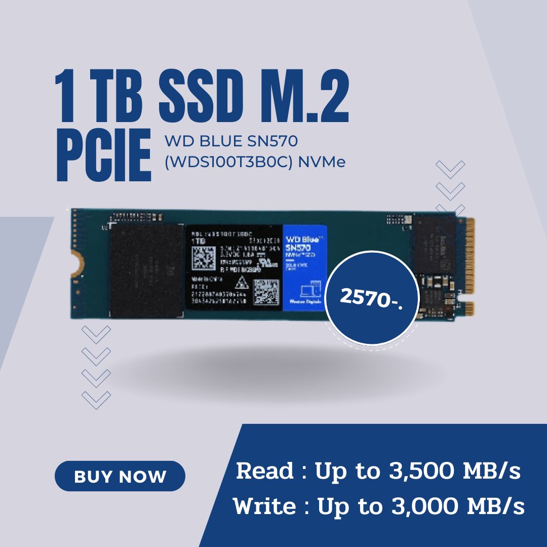 新品】WD Blue SN580 NVMe SSD WDS100T3B0E-