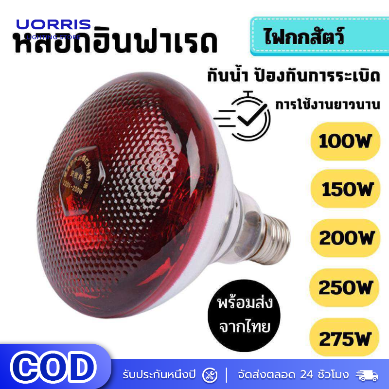 Uorris Infrared Light Bulbs Animal Brooding Light Bulb Warm Light Bulb, Smooth Model, Pig Brooding Light, Chicken Brooding Light, Chick Brooding Light, Piglet Brooding Light, Heat Light, Infrared Light ราคา 300 บาท*ส่งฟรี