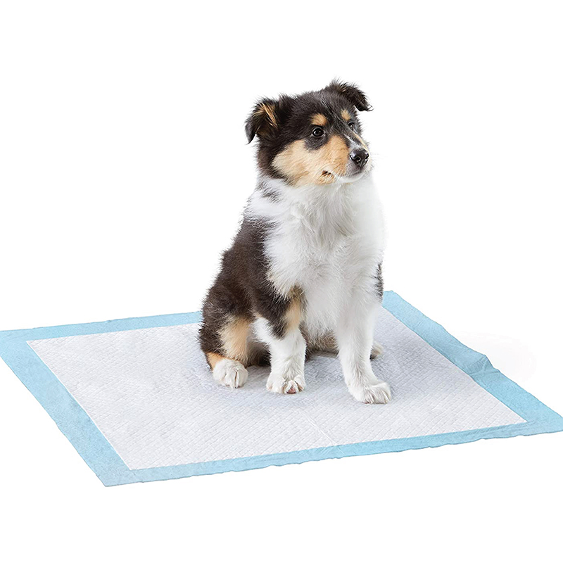ลองดูภาพสินค้า แผ่นรองฉี่สำหรับสุนัข แผ่นฝึกขับถ่าย NIKO Training Pad (แบบตัวเลือก) มีเทปกาว 4 มุม ป้องกันการซึมเปื้อน 6 ชั้น โดย Yes Pet Shop