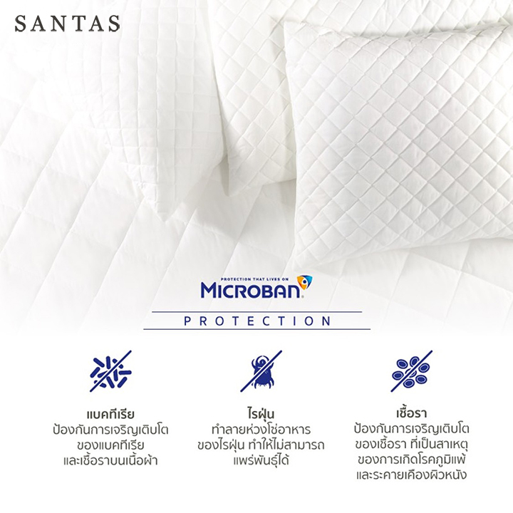 SANTAS ปลอกรองกันเปื้อนหมอน ราคา 660 บาท*ส่งฟรี