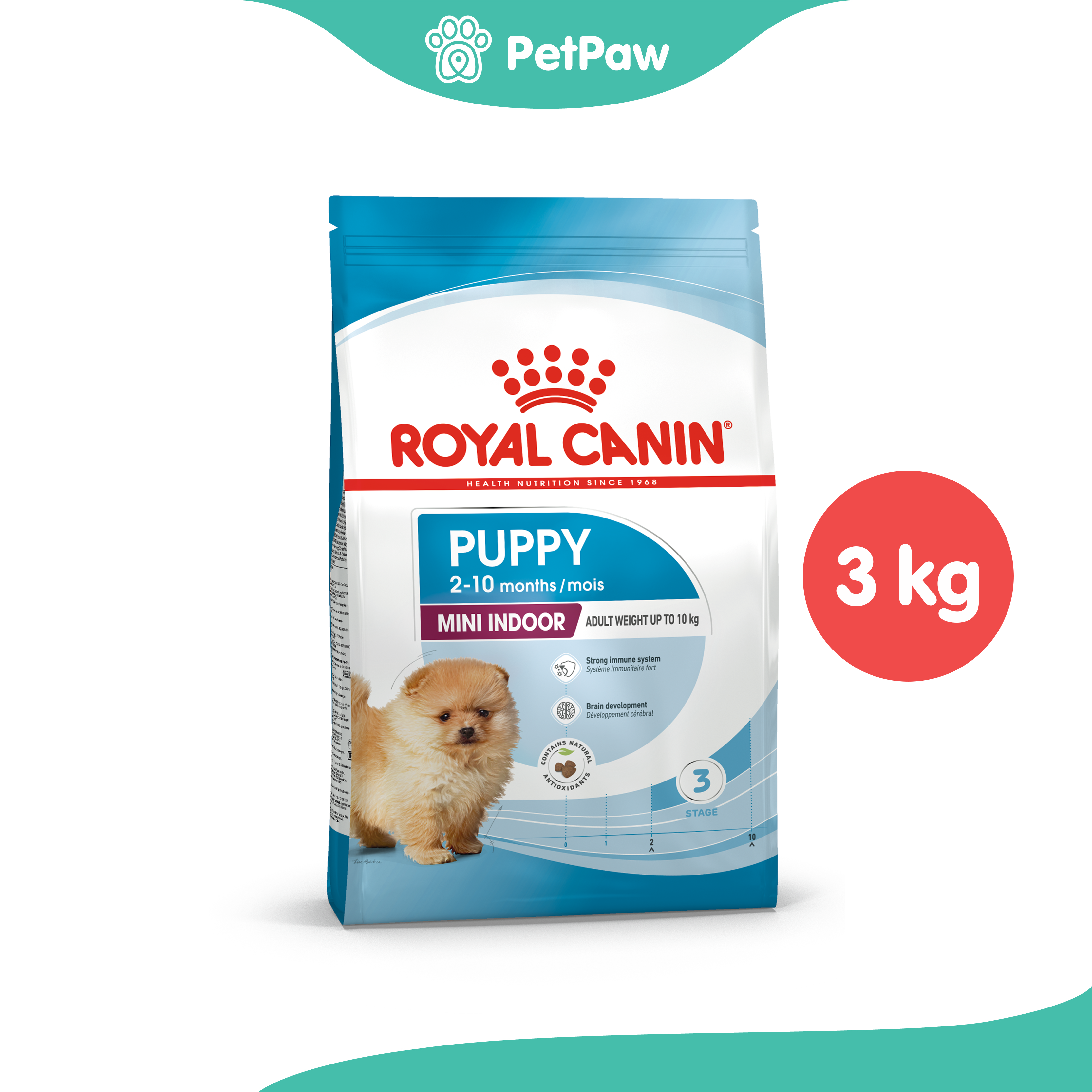 Royal Canin MINI INDOOR PUPPY ลูกสุนัขพันธุ์เล็กเลี้ยงในบ้าน 3 kg ราคา 947 บาท*ส่งฟรี