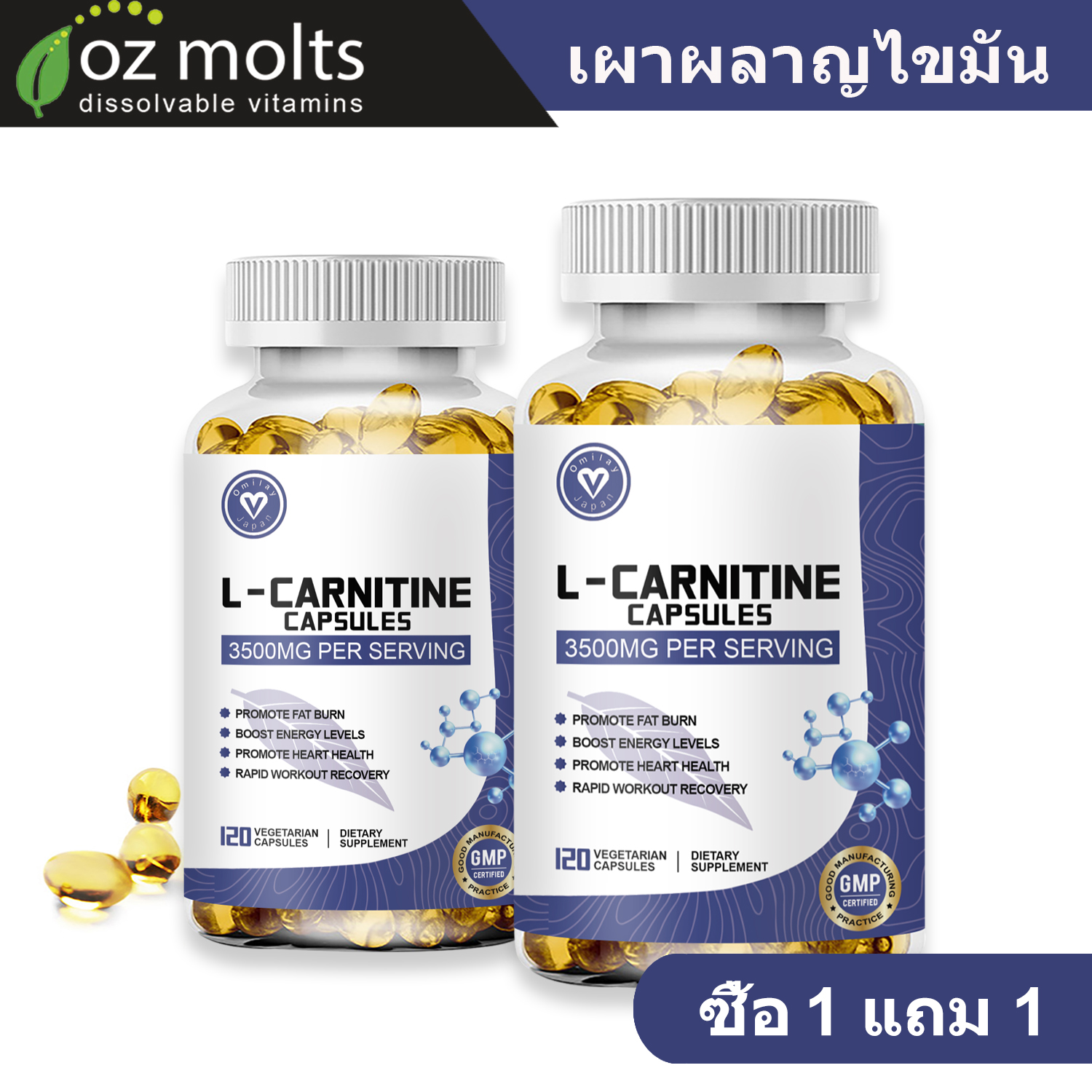 l-carnitine supplement price thailand ช้อป Lcarnitine ราคาสุดคุ้ม พร้อมโปรฯ Please consult your doctor Epithalon Peptide – Regenesis fast blend brightening Selection:120 Vegetarian Capsules