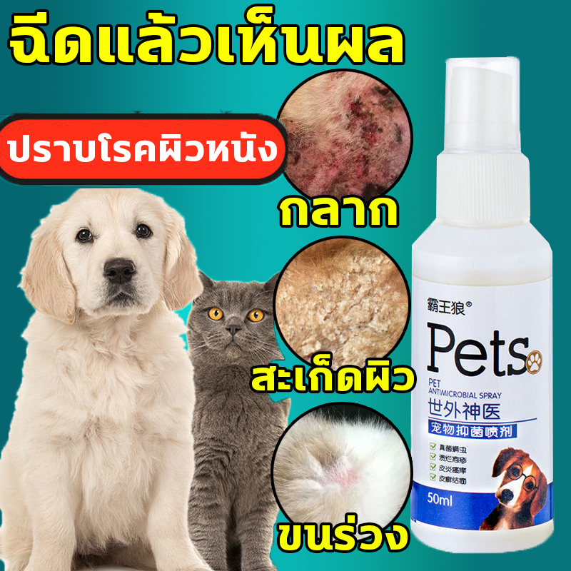 4a0c6b9e86b286cc8ff8f5342f660a54.jpg