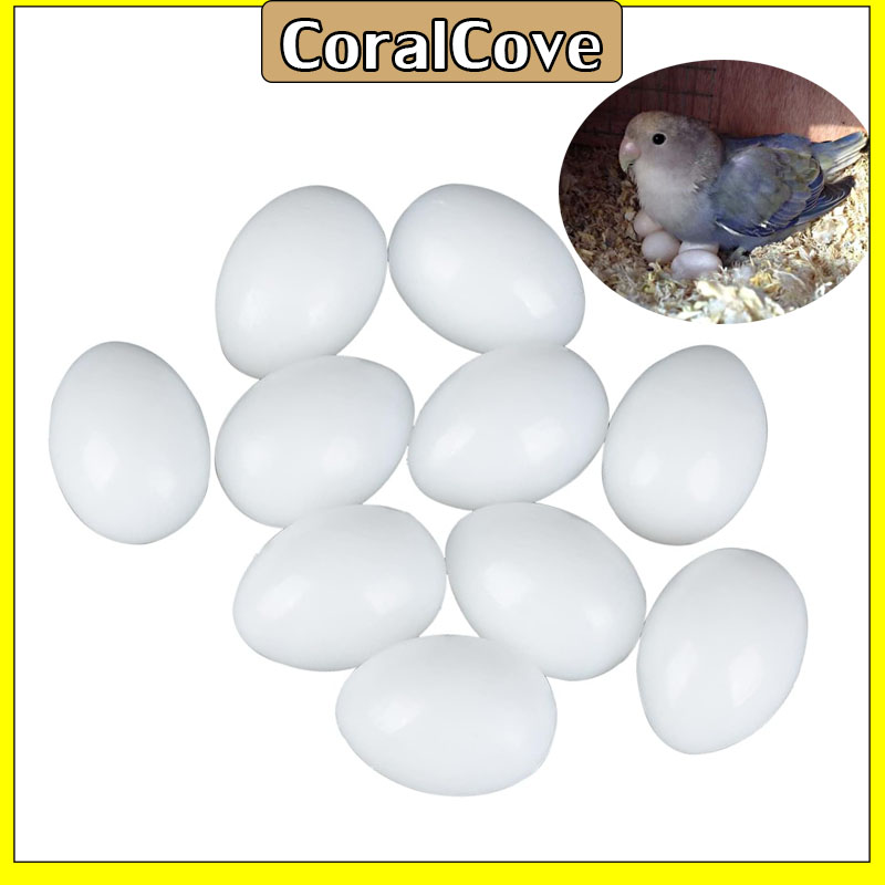 CoralCอมสำหรับนกแก้ว ไข่เทียม ไข่ปลอม ราคา 62 บาท*ส่งฟรี