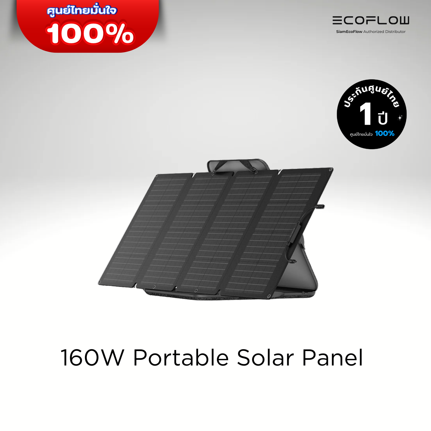 Ecoflow 160W Portable Solar Panel ราคา 9,750 บาท*ส่งฟรี