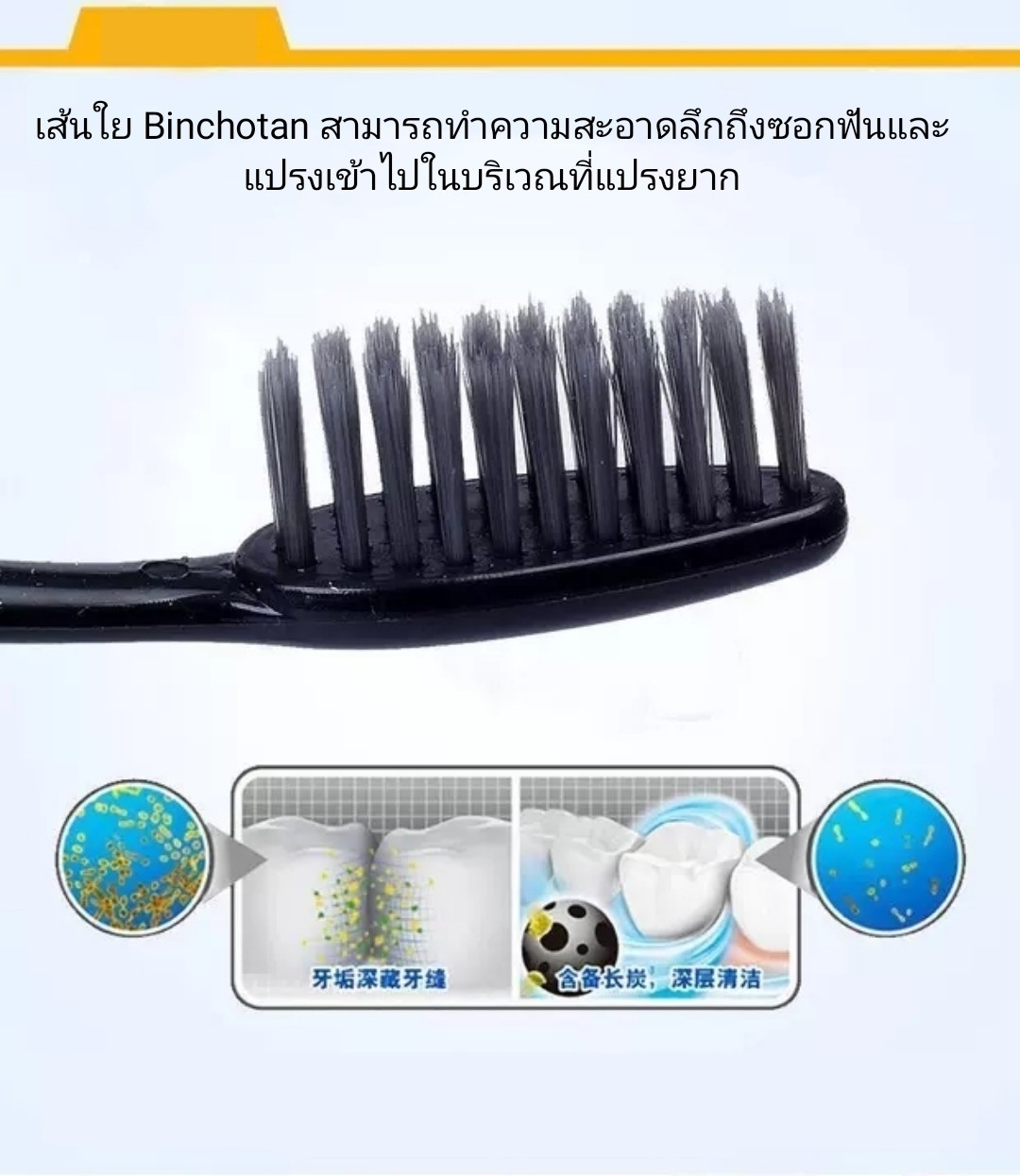 ข้อมูลเพิ่มเติมของ แปรงฟัน 1 แพ็ค10 ชิ้น แปรงสีฟัน สำหรับผู้ใหญ่ ขนนุ่ม แปรงได้ลึกถึงซอกฟัน ส่งจากไทย Monster2 shop