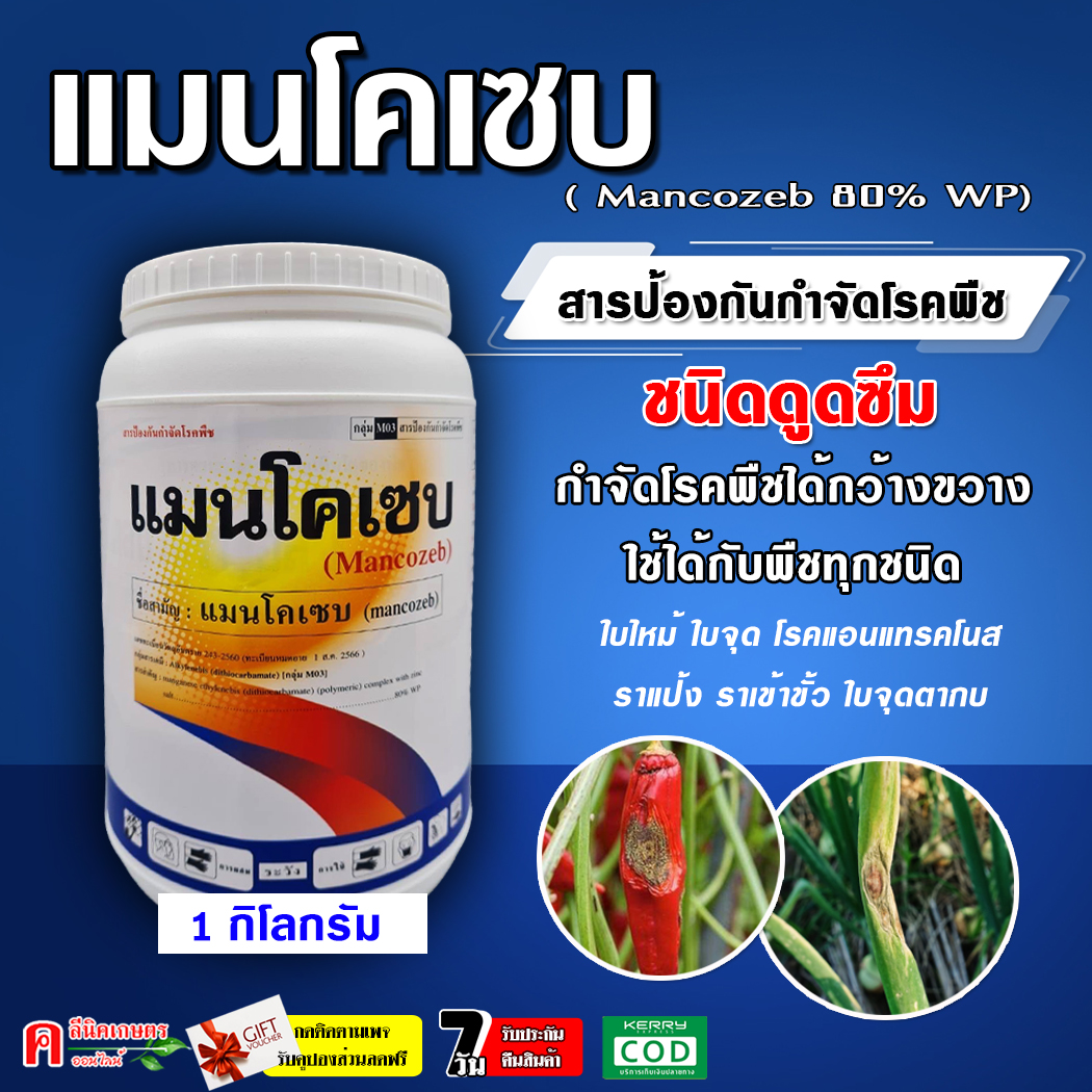 แมนโคเซบ (mancozeb)( 1 กิโลกรัม ) แมนโคเซป-สีเหลือง สารป้องกันและกำจัดเชื้อรา โรคพืชต่าง ๆ ได้มากมาย มีความคงตัว ทนการชะล้างได้ดี