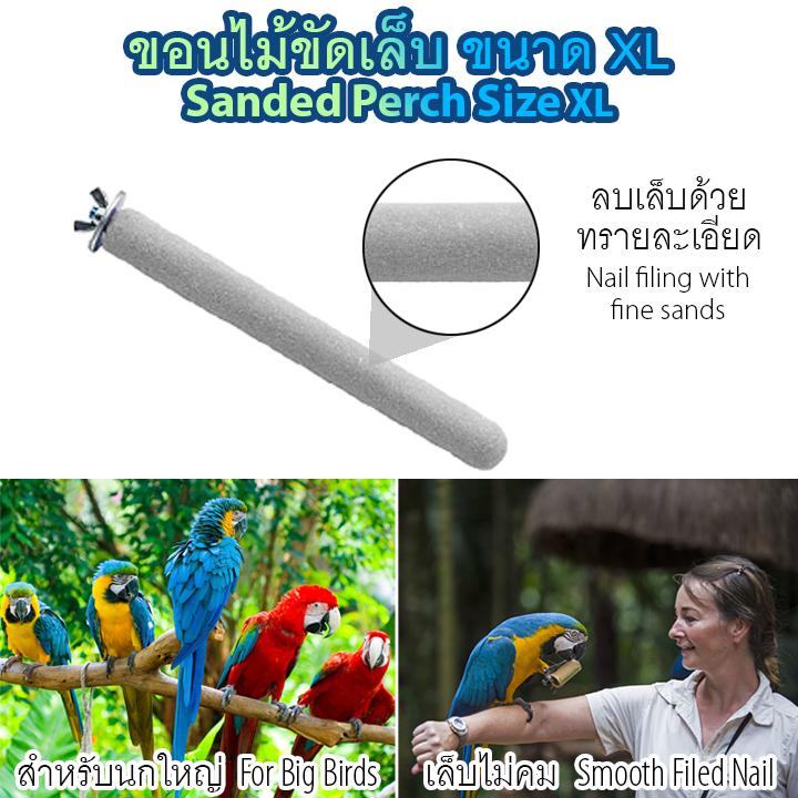 ของเล่นสัตว์เลี้ยง ของเล่นนก ขอนไม้ลับเล็บ ที่ลับเล็บนก ที่ลับเล็บแมว ที่ลับเล็บกระรอก ที่ขัดเล็บนก คอนลับเล็บ ทรายละเอียด ลดความคมของเล็บ นกแก้ว นกกระตั้ว นกมาคอว์ หนูแฮมเตอร์ กระต่าย เมาส์ กระรอก เต่า สัตว์เลื้อยคลาน เชือกไต่เล่น ออกกำลังกาย ขนาด XL