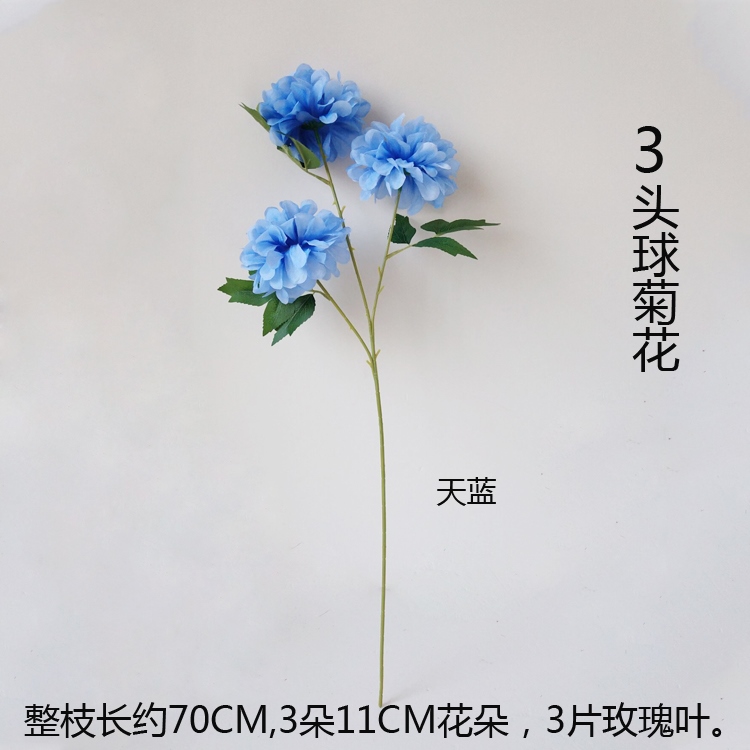 https://th-live-01.slatic.net/p/4ceecc73218b9b5093b55b5d537a2ca6.jpg