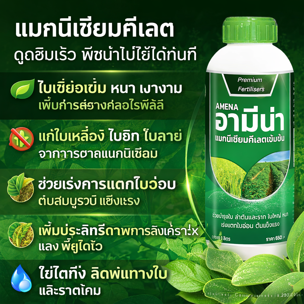 Magnesium, Green Leaves, Thick Leaves, Accelerates Growth, Stimulates Root Cracking. Absorbs Nutrients More Easily. Plants Recover Quickly and Grow Continuously. 1 Liter ราคา 219 บาท*ส่งฟรี