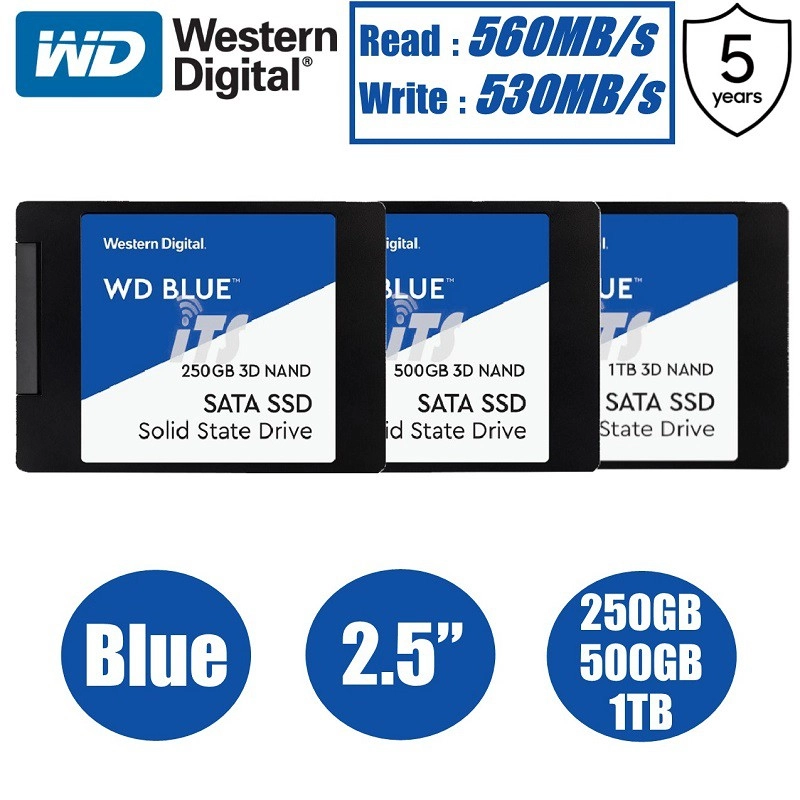 ภาพหน้าปกสินค้าWestern Digital 1TB WD BLUE SSD Hard Disk SSD 250 GB 500GB 1TB HD 3D NAND 2.5 "SATA III 6กิกะไบต์/วินาทีภายใน Solid State Drive สำหรับ PC Loptop 3 ปี พร้อมส่ง จากร้าน Waaroom บน Lazada