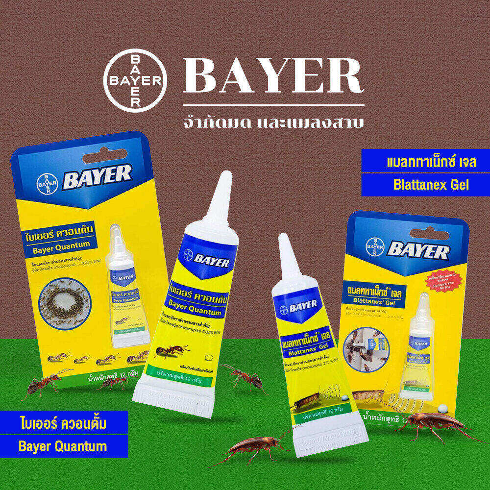 { ผลิตใหม่ 2022 } Bayer Quantum ไบเออร์ ควอนตั้ม ขนาด 12 กรัม เจลกำจัดมด เจลกำจัดแมลงสาบ เจลกำจัดแมลง เหยื่อกำจัดมดและแมลงสาบ กาวน์ดักแมลง