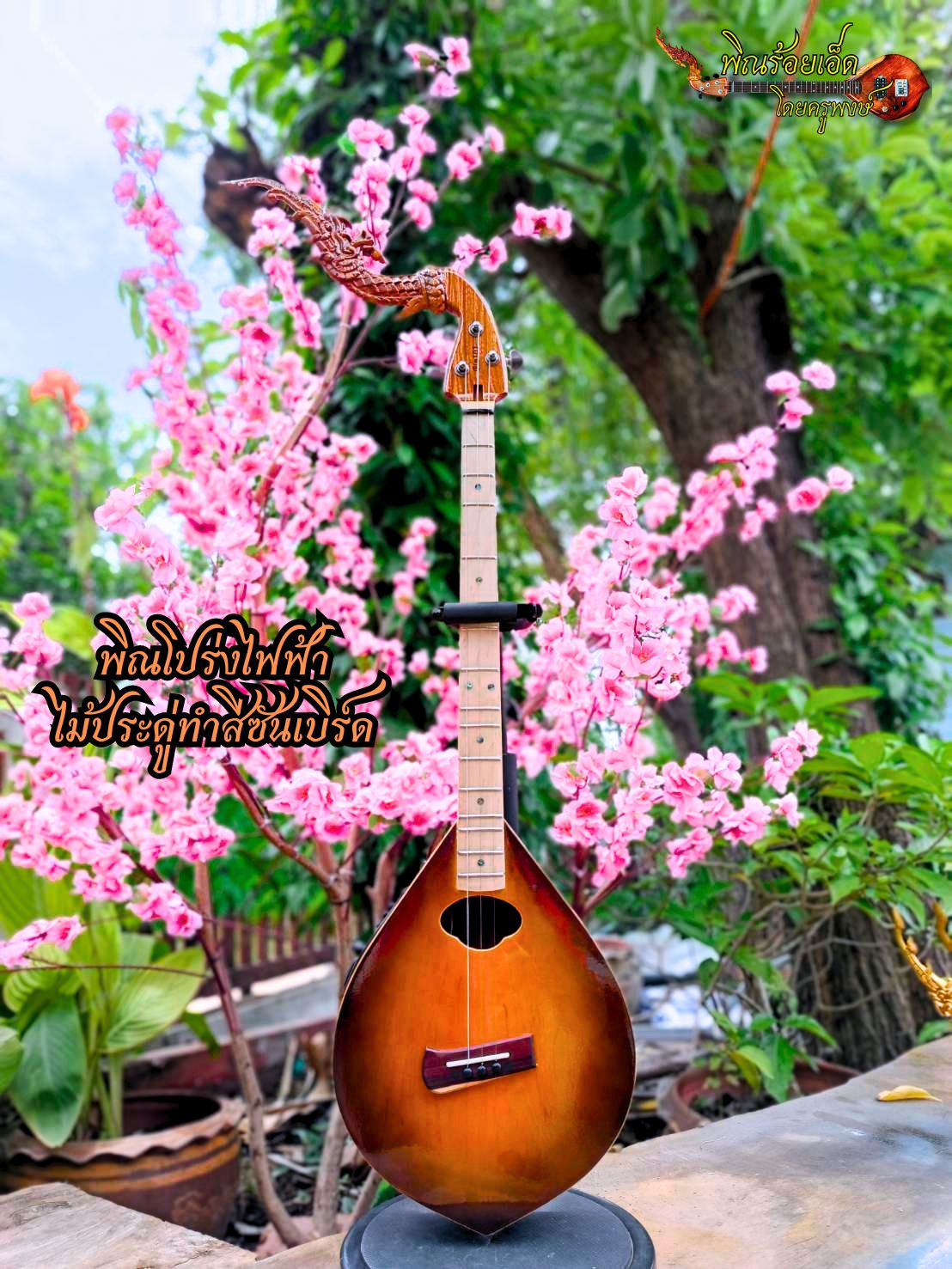 Electric Harp Made from Orange-Colored Rosewood with Black Edges. Maple Wood Fingerboard, 3 Strings, 15 Frets, Eq Electrical Circuit. ราคา 4,990 บาท*ส่งฟรี