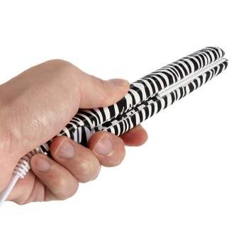 Health Beauty Flat Irons Professional Tools Hairstyle Mini Portable Electronic Ceramic Hair Straightener Eu Plug(Zebra Stripes) - intl Health Beauty Flat Irons Professional Tools Hairstyle Mini Portable Electronic Ceramic Hair Straightener Eu Plug(Zebra Stripes) - intl