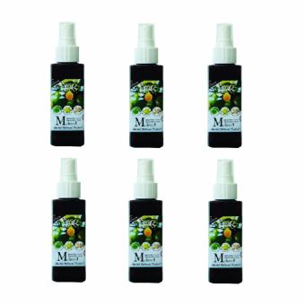 ชีววิถี เซรั่มสมุนไพรมะหาดบำรุงผม120ml.(แพ็ค6ขวด) ชีววิถี เซรั่มสมุนไพรมะหาดบำรุงผม120ml.(แพ็ค6ขวด)