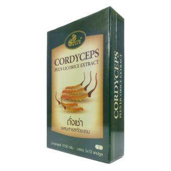 ถั่งเช่า ไฟโตโกลด์ Phytogold Cordyceps 30 Capsule X 1 Box ถั่งเช่า ไฟโตโกลด์ Phytogold Cordyceps 30 Capsule X 1 Box