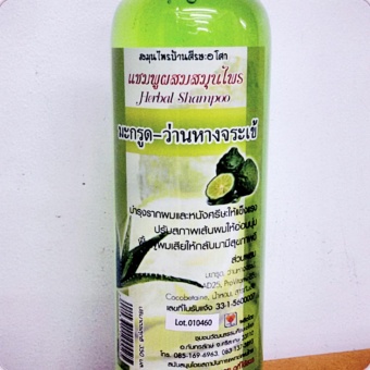 HERBAL SHAMPOO แชมพูสมุนไพรสกัด มะกรูด&ว่านหางจระเข้ 1 ขวด (OTOP) HERBAL SHAMPOO แชมพูสมุนไพรสกัด มะกรูด&ว่านหางจระเข้ 1 ขวด (OTOP)