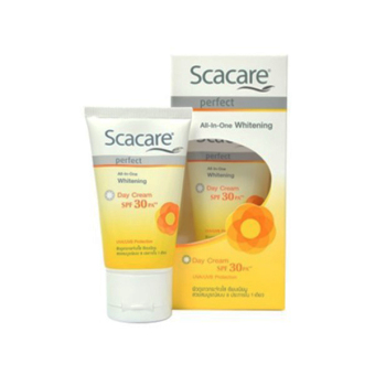 Scacare สกาแคร์ เพอร์เฟ็คท์ เดย์ครีม SPF30 30 กรัม Scacare สกาแคร์ เพอร์เฟ็คท์ เดย์ครีม SPF30 30 กรัม