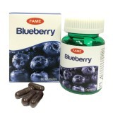 FAME ORGANIC Products Blueberry (1 capsule = Blueberry 10 ผล) บำรุงดวงตา ป้องต้อกระจก FAME ORGANIC Products Blueberry (1 capsule = Blueberry 10 ผล) บำรุงดวงตา ป้องต้อกระจก