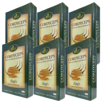 PhytoGold ถั่งเช่า+สารสกัดชะเอม 30 แคปซูล x 6 กล่อง PhytoGold ถั่งเช่า+สารสกัดชะเอม 30 แคปซูล x 6 กล่อง