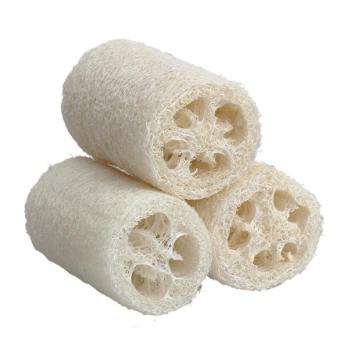 3 x ธรรมดา Loofah บวบฟองน้ำอาบน้ำผสมแอลกอฮอล์ร่างกายรังบวบเล็กขนาด 3 x ธรรมดา Loofah บวบฟองน้ำอาบน้ำผสมแอลกอฮอล์ร่างกายรังบวบเล็กขนาด