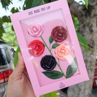 ลิปบาล์มสี 3CE POT LIP ดอกกุหลาบ 1 เซต 5สี ลิปบาล์มสี 3CE POT LIP ดอกกุหลาบ 1 เซต 5สี