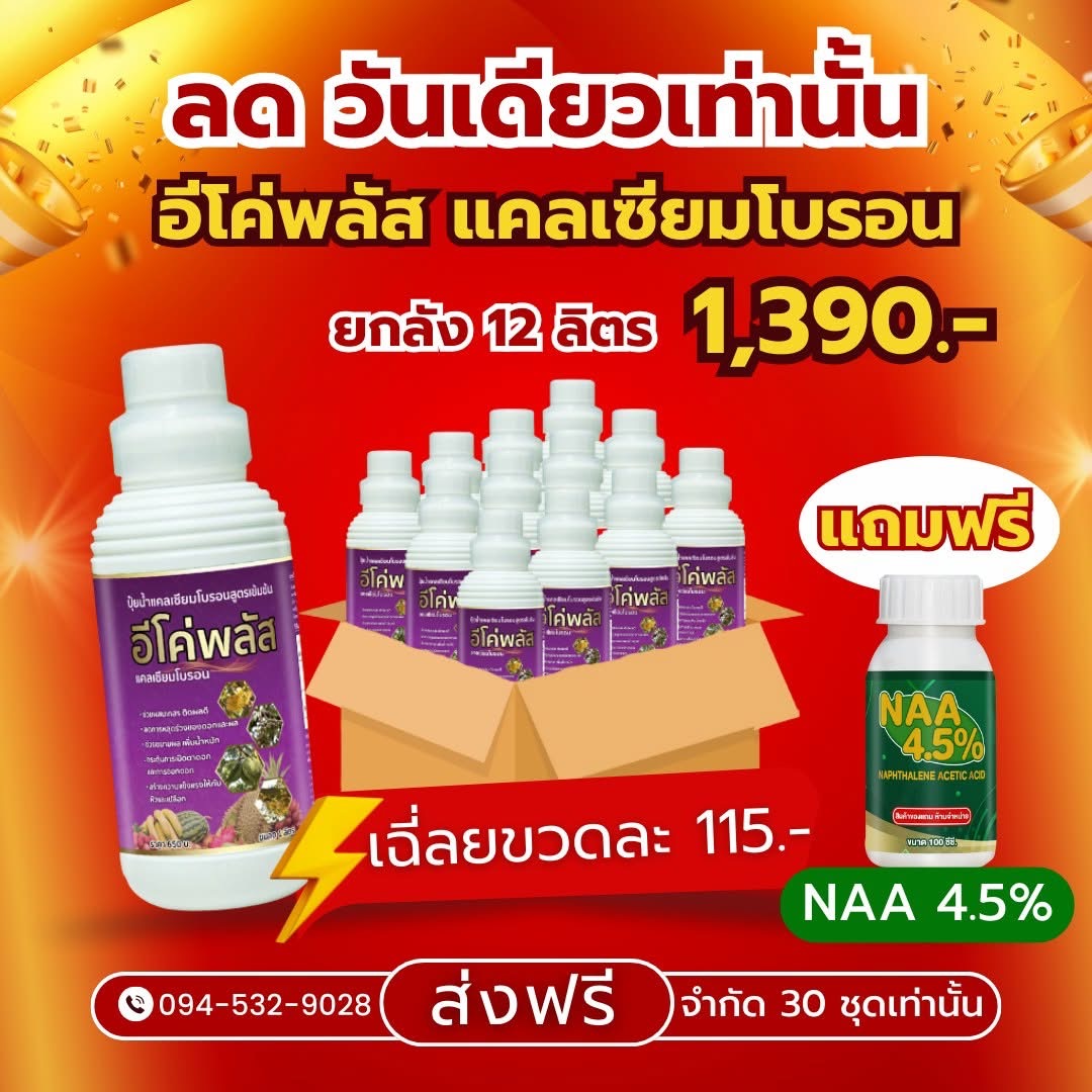 Calcium Boron, Plant Calcium, Eco Plus, Whole Box of 12 Bottles, Plus Naa, Oxin Hormone, Plant Hormone, 100Cc, Whole Box of 12 Liters. ราคา 1,305 บาท*ส่งฟรี