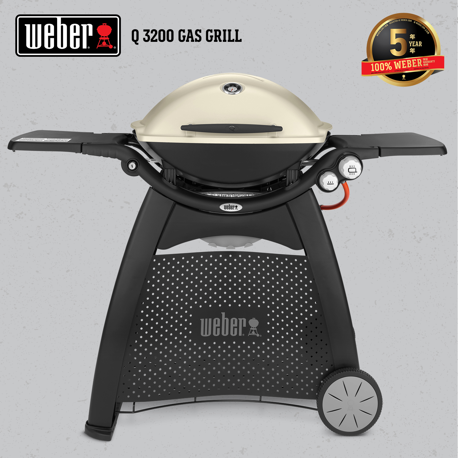 Weber Barbecue a gas Q1200 Black con supporto 