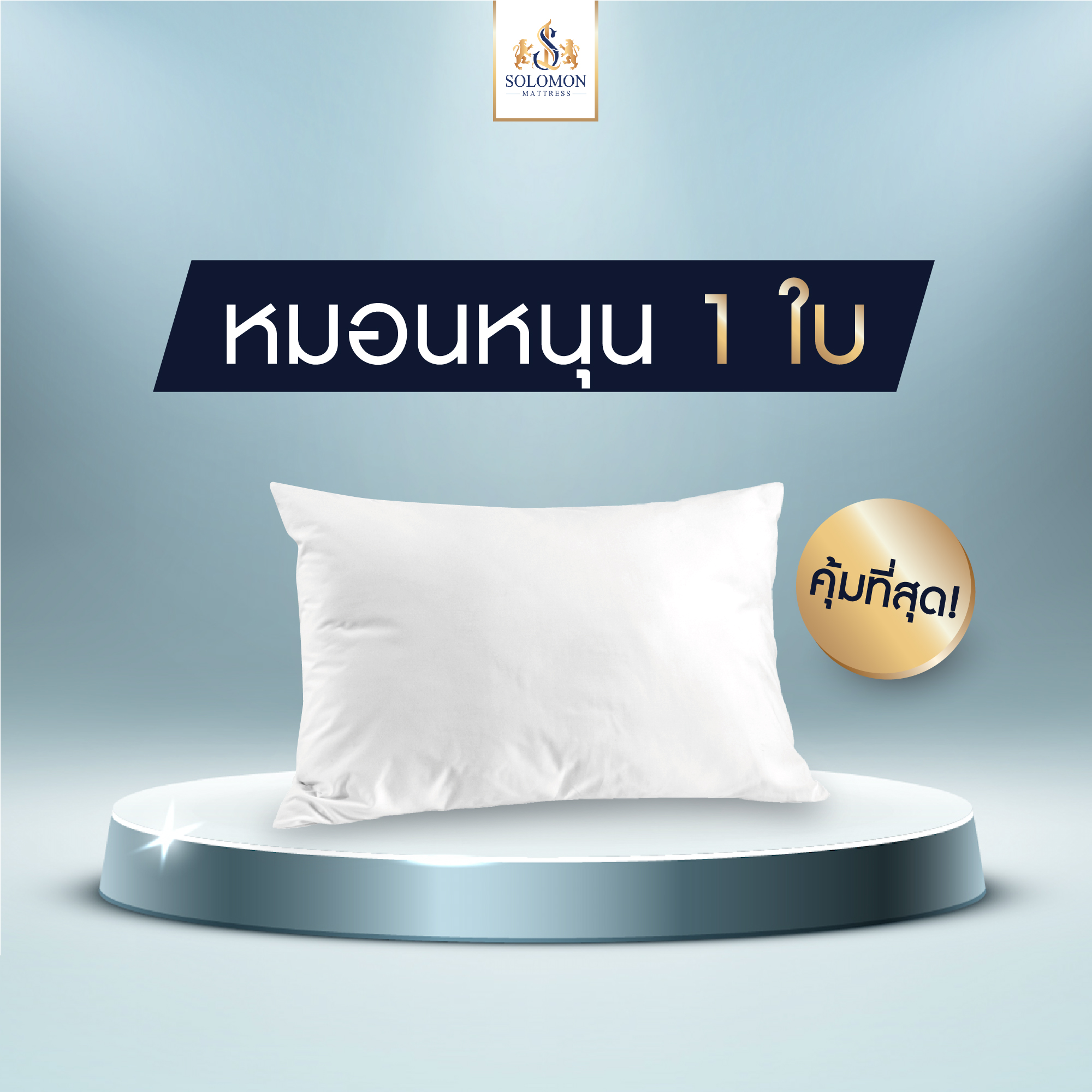 Solomon 1 pc anti-mite health pillow (white) ราคา 190 บาท*ส่งฟรี