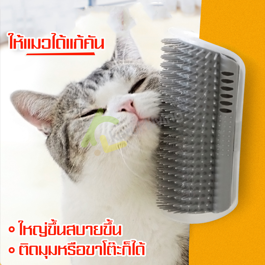 Cat massage brush corner room cat hair brush wall brush Cat massage brush corner Cat massage brush Cat massage brush corner brush pet comb ราคา 39 บาท*ส่งฟรี