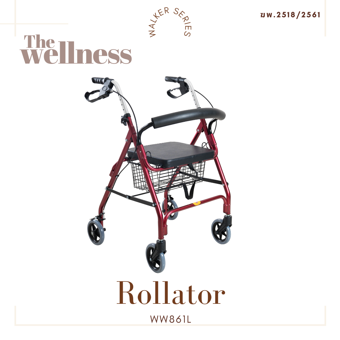 ที่หัดเดินสำหรับผู้สูงอายุ โรเลเตอร์หัดเดิน รถเข็นช่วยพยุงเดิน | Rollator TheWellness (WW861L) ราคา 3,690 บาท*ส่งฟรี