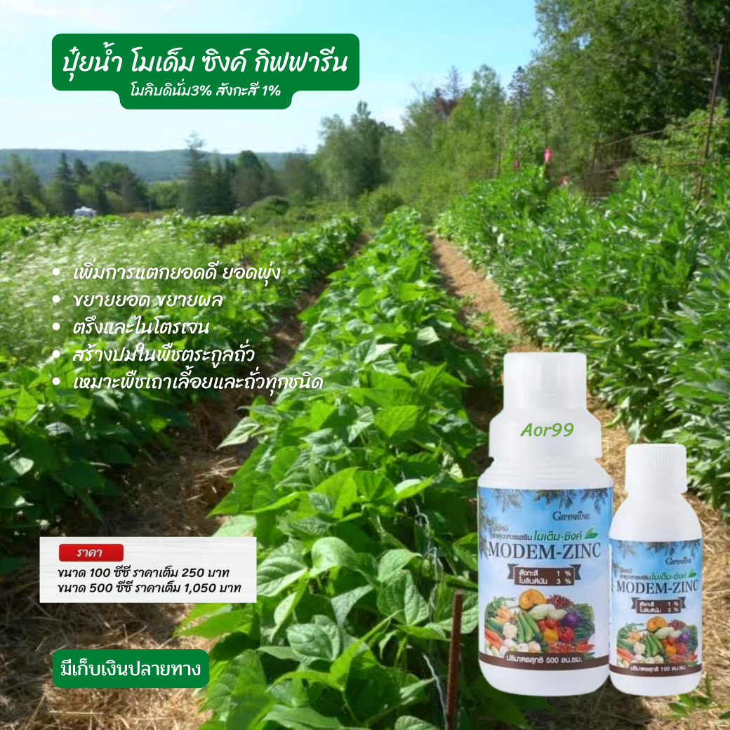 Aor88 ปุ๋ยโมเด็ม-ซิงค์ กิฟฟารีน ปุ๋ยน้ำทางใบ ปุ๋ยฉีดทางใบ giffarine fertilizer สวน พิชตระกูลถั่ว ตรีงในโตเจน ปลูกผัก ปุ๋ย ราคา 250 บาท*ส่งฟรี