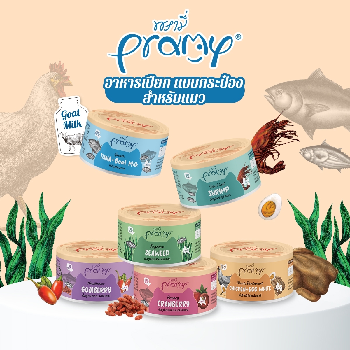 Pramy Canned พรามี่ อาหารกระป๋องสำหรับแมว ชนาด 80g ราคา 33 บาท*ส่งฟรี