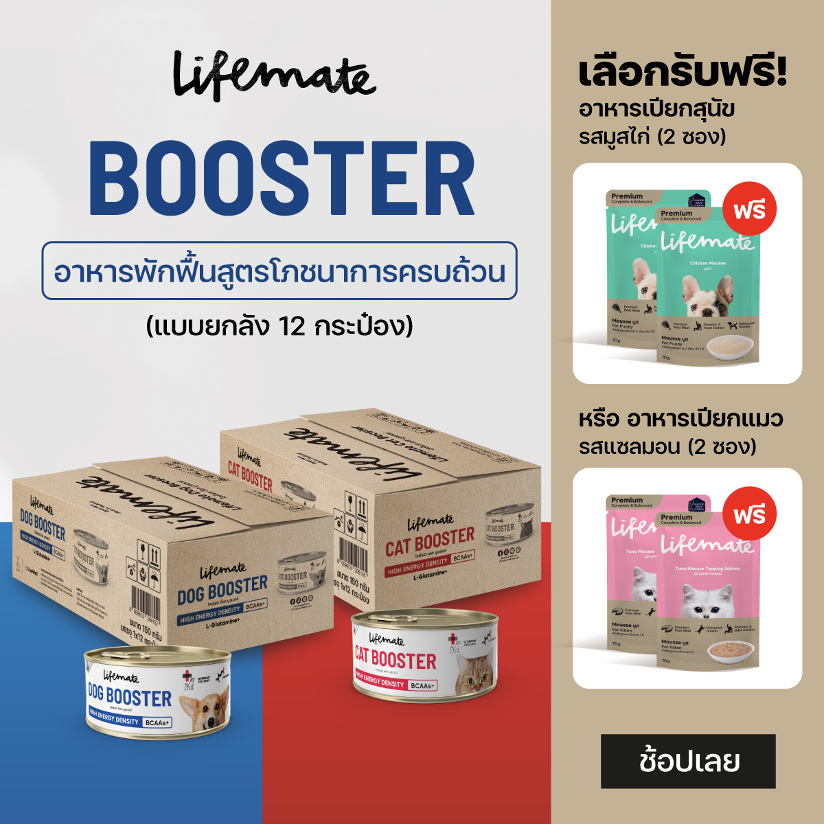 Lifemate Booster อาหารพักฟื้นสูตรโภชนาการครบถ้วน ยกลังx12 ราคา 920 บาท*ส่งฟรี