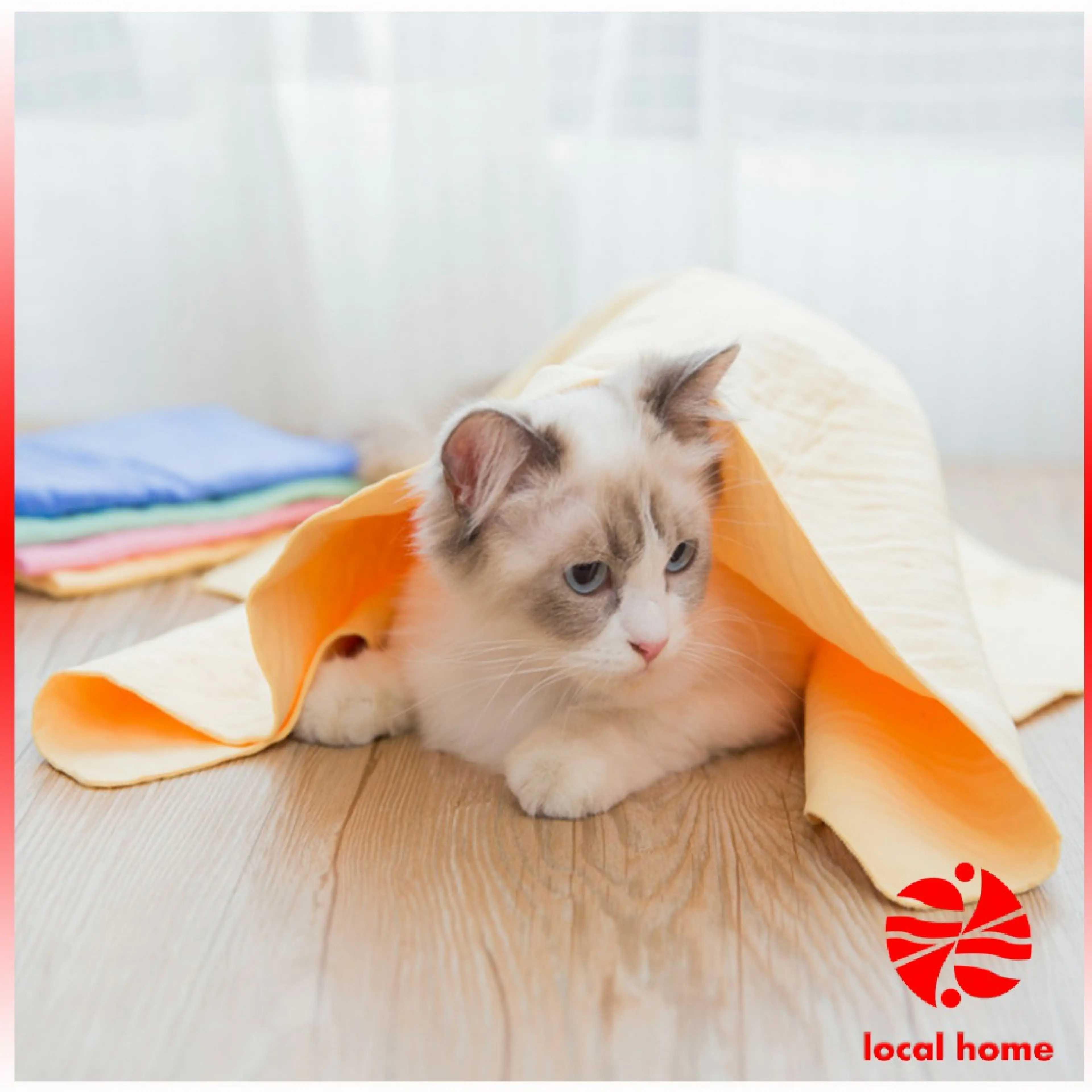 Thaihome ผ้าชามัวร์ ผ้าเช็ดรถ ผ้าอเนกประสงค์ดูดซับน้ำได้ดี Multipurpose towel