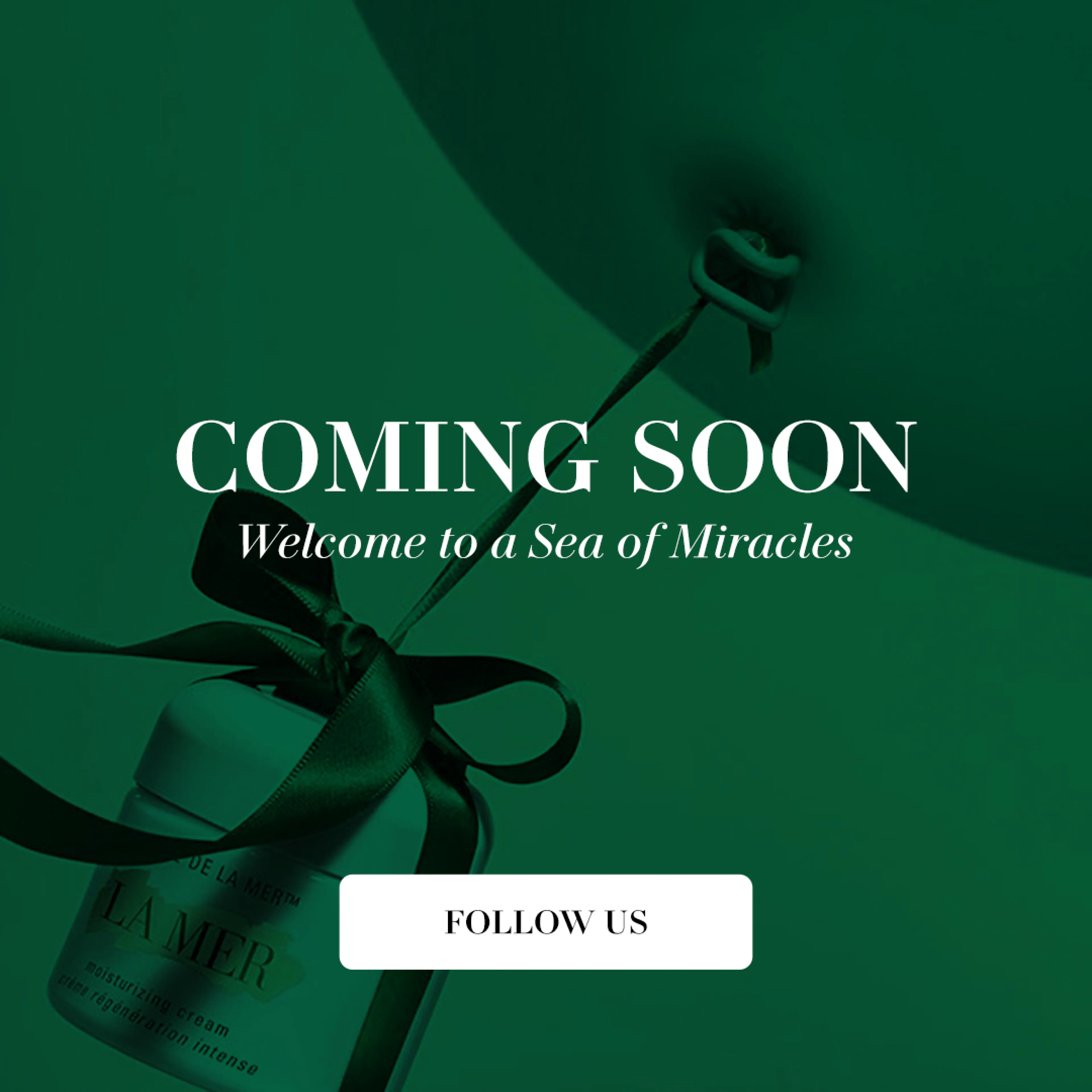 Coming Soon - รูปที่ 1