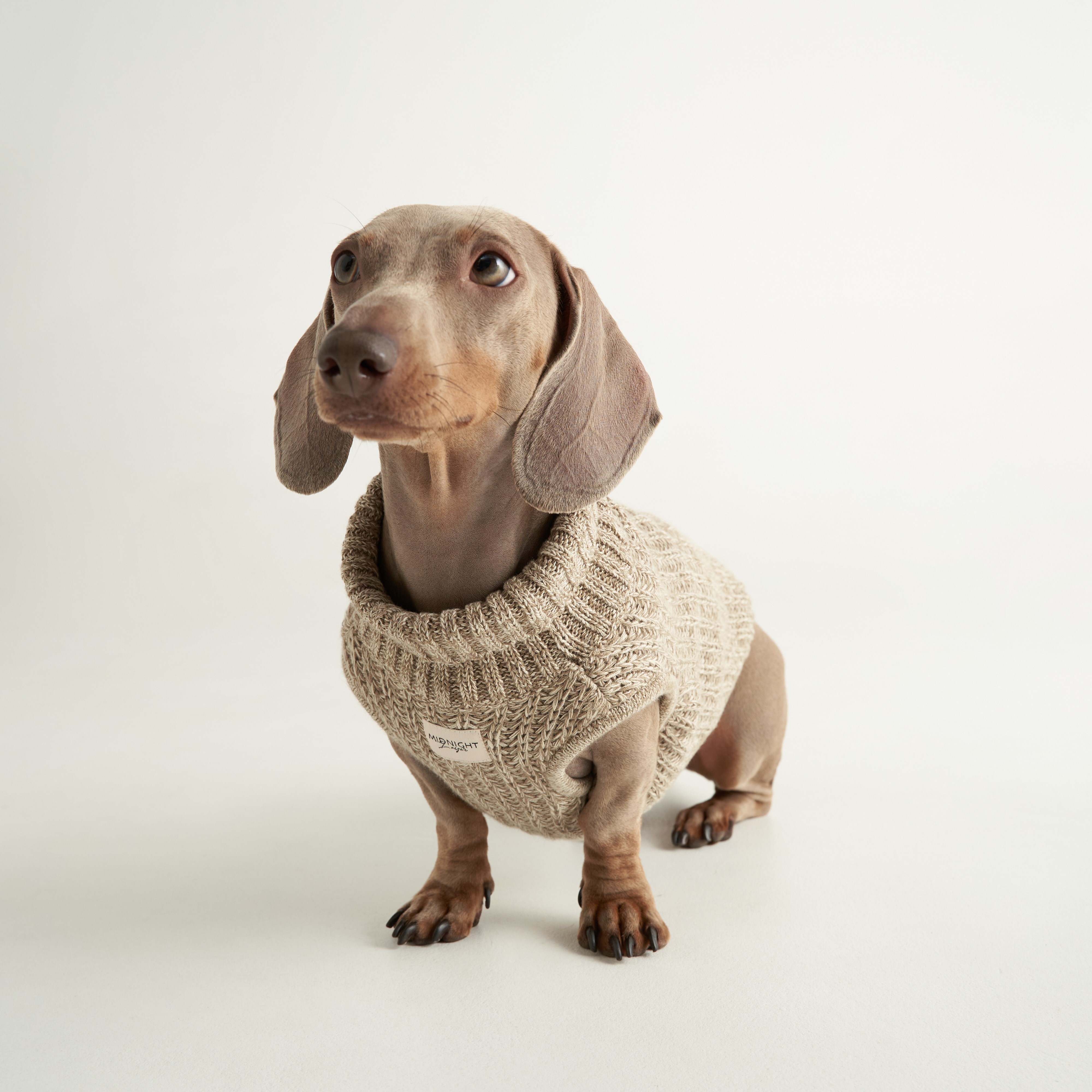 Midnight Layer - Knitwear Collection - เสื้อผ้าสัตว์เลี้ยง เสื้อสุนัข เสื้อหมา เสื้อแมว (LATTE) ราคา 1,290 บาท*ส่งฟรี