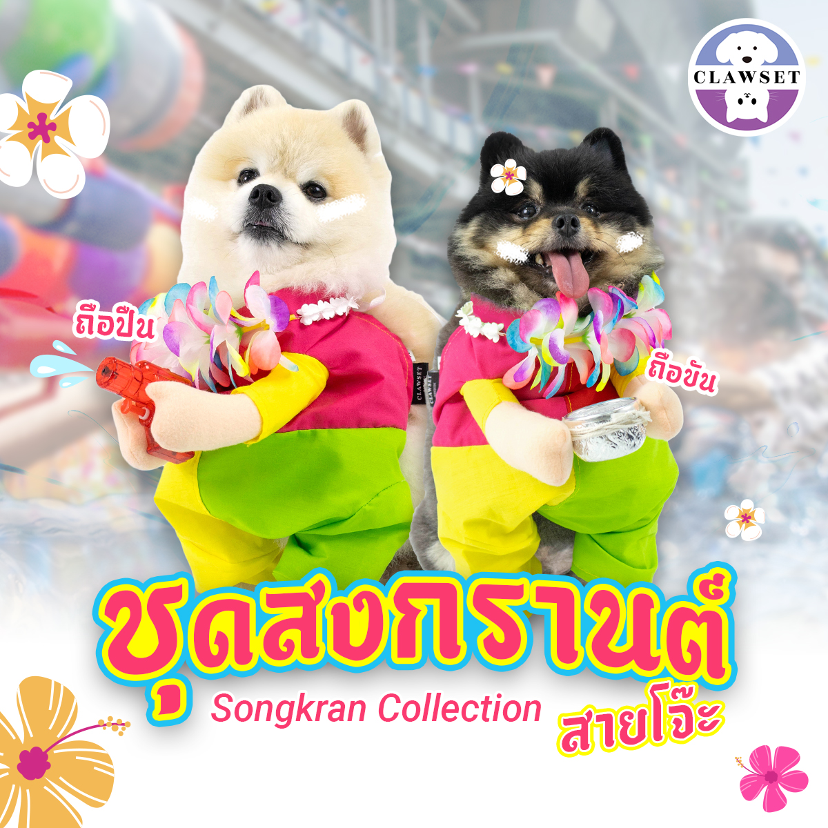ชุดคอสตูมสงกรานต์ Songkran 2024 คอสตูมหมาแมว ชุดสงกรานต์สัตว์เลี้ยง | Clawset.bkk ราคา 490 บาท*ส่งฟรี