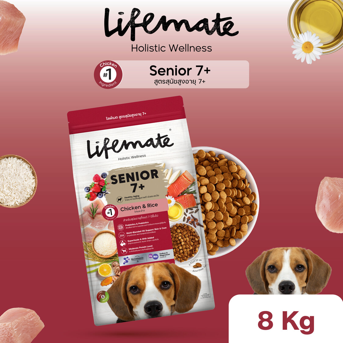 Lifemate Senior Dog 7+ อาหารสุนัข สูตรสุนัขสูงอายุ ขนาด 8kg ราคา 1,200 บาท*ส่งฟรี