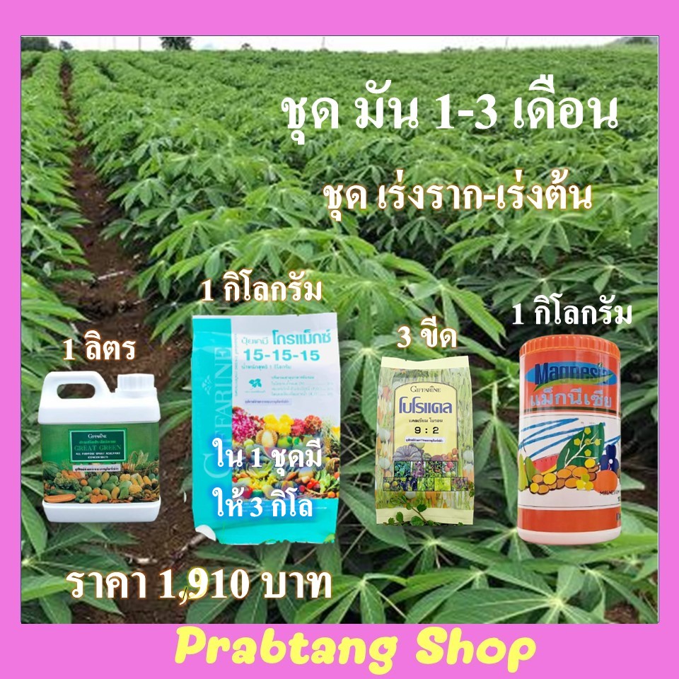 ส่งฟรี ปุ๋ยมันสัมปะหรั่ง ปุ๋ยมัน ชุดปุ๋ยมัน ปุ๋ยโกรแม็กซ์ ปุ๋ยกิฟฟารีน ปุ๋ยอินทรี ปุ๋ยแกร็ด ปุ๋ยทางใบ