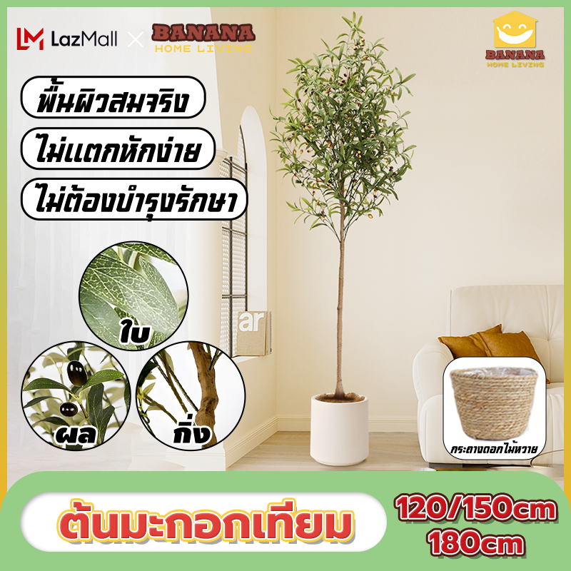 Bananahomeliving Fake Olive Tree 120/150/180cm Home Decoration ราคา 658 บาท*ส่งฟรี