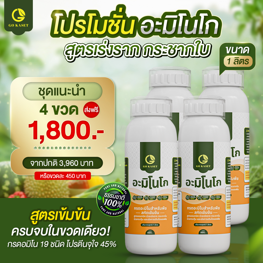 (4 Bottles) Size 1,000 ml - Amino Go (Amino Go) Water Fertilizer, Rapid Amino Acid Fertilizer for Plants, Accelerates Rooting and Leaf Growth, 100% Organic. ราคา 1,800 บาท*ส่งฟรี