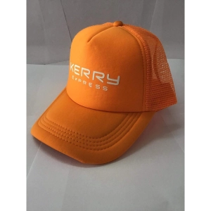 ภาพหน้าปกสินค้าหมวก Kerry Express หมวกตาค่าย ที่เกี่ยวข้อง