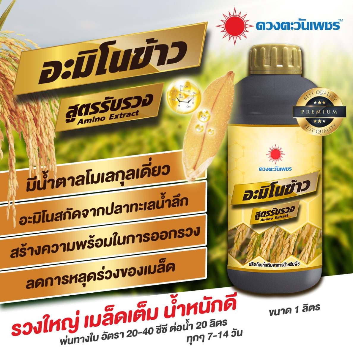 อะมิโนข้าว สูตรรับรวง สำหรับบำรุงรวง (ชนิดน้ำ) ขนาด 1 ลิตร เมล็ดเต้ม เมล็ดเต่ง น้ำหนักดี ส่งเสริมการสร้างแป้งและน้ำตาล ราคา 350 บาท*ส่งฟรี